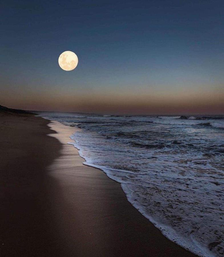 Casa Verde Cabo Frio Zewnętrze zdjęcie